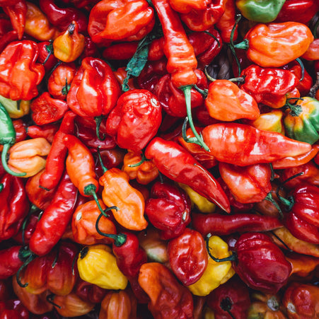 Spicy Spicy Scotch Bonnet Peppers: Did I Mention How Spicy They Are ?